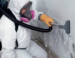 Biohazard Mold Removal in Green Meadows, OH